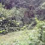 Terreno à venda no condomínio Campos de Mairiporã Gleba 1, Mairiporã - SP