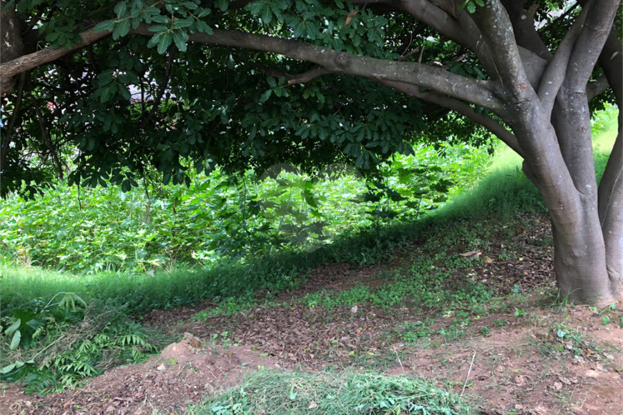 Terreno à venda em Imirim, São Paulo, SP