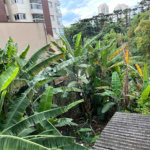 Terreno à venda em Santana, São Paulo, SP