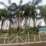 Área de Terra à venda em Jardim do Carmo, Araraquara, SP