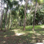 Terreno à venda em Jundiaizinho (terra Preta), Mairiporã, SP