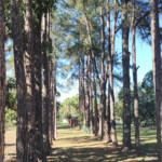 Chácara à venda com 3 quartos, sendo 1 suíte, em Loteamento Chácara Gaioto, Tatuí, SP