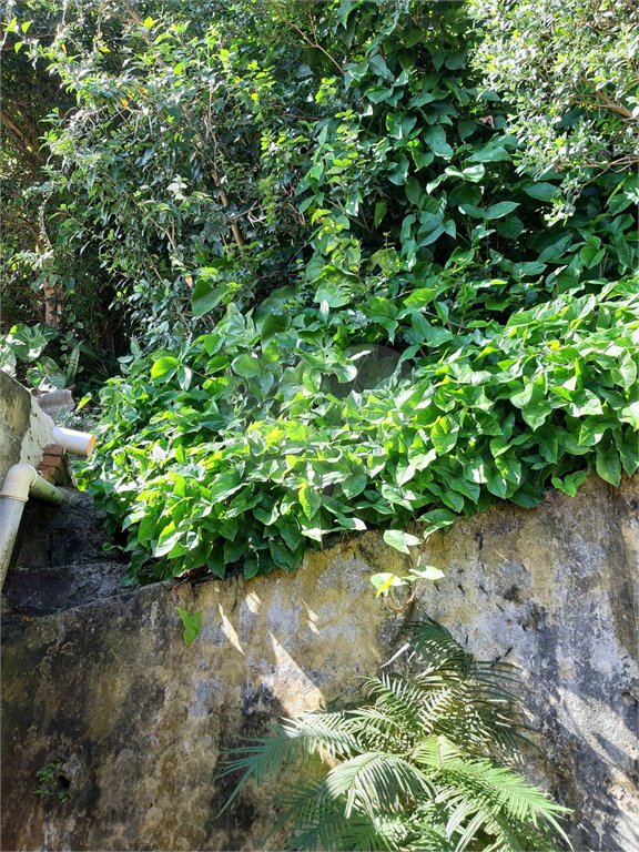 Terreno à venda em Vila Irmãos Arnoni, São Paulo, SP