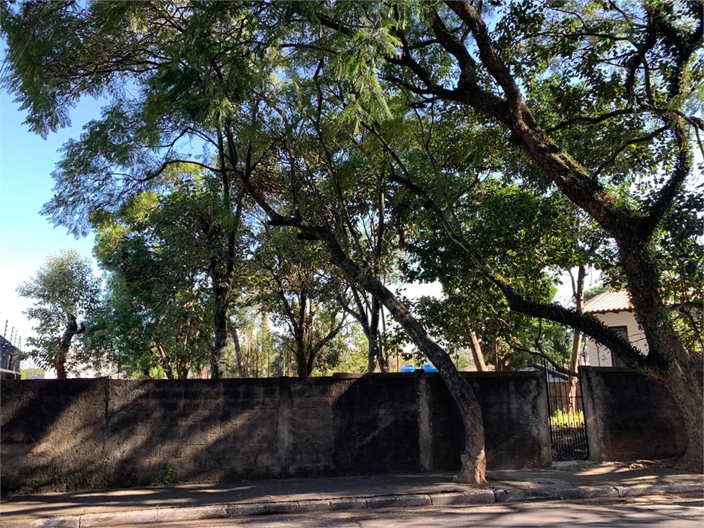 Terreno à venda em Vila Tramontano, São Paulo, SP