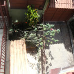 Sobrado à venda com 3 quartos, sendo 1 suíte, em Mandaqui, São Paulo, SP