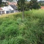 Terreno à venda em Tremembé, São Paulo, SP