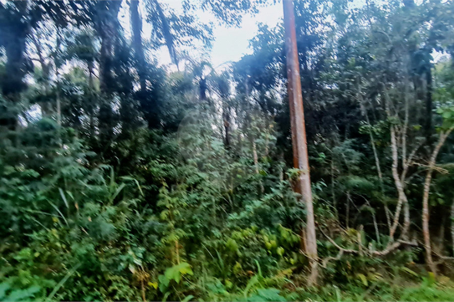 Condomínio à venda em Serra da Cantareira, Mairiporã, SP