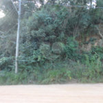 Terreno à venda em Vista Alegre, Vinhedo, SP