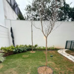 Apartamento à venda com 1 suíte em Vila Leopoldina, São Paulo, SP