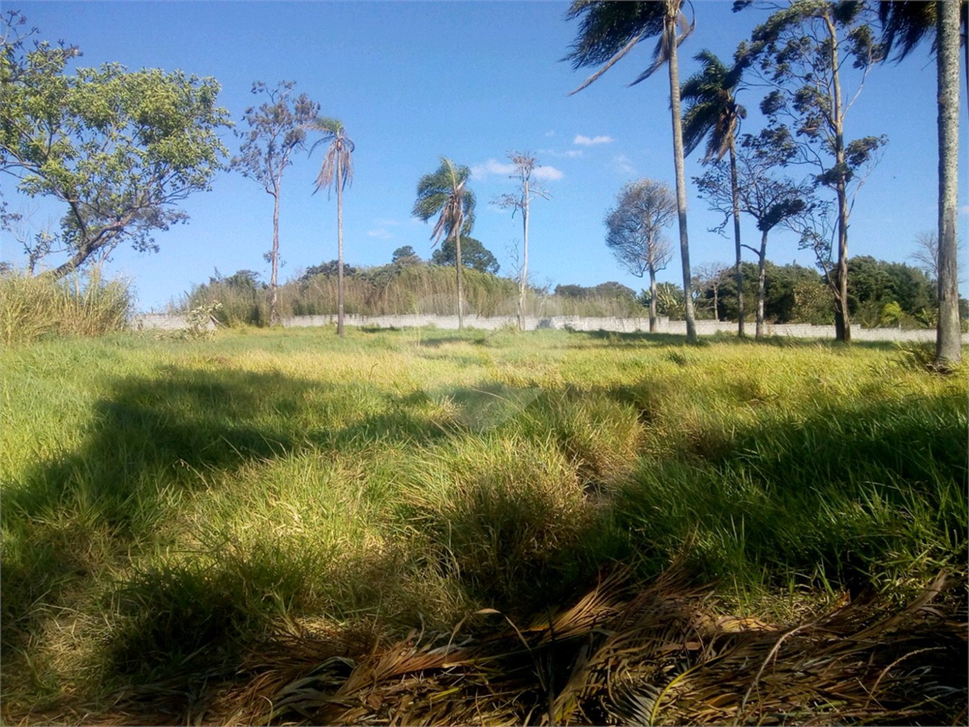 Terreno à venda em Parque Olimpico, Mogi das Cruzes, SP
