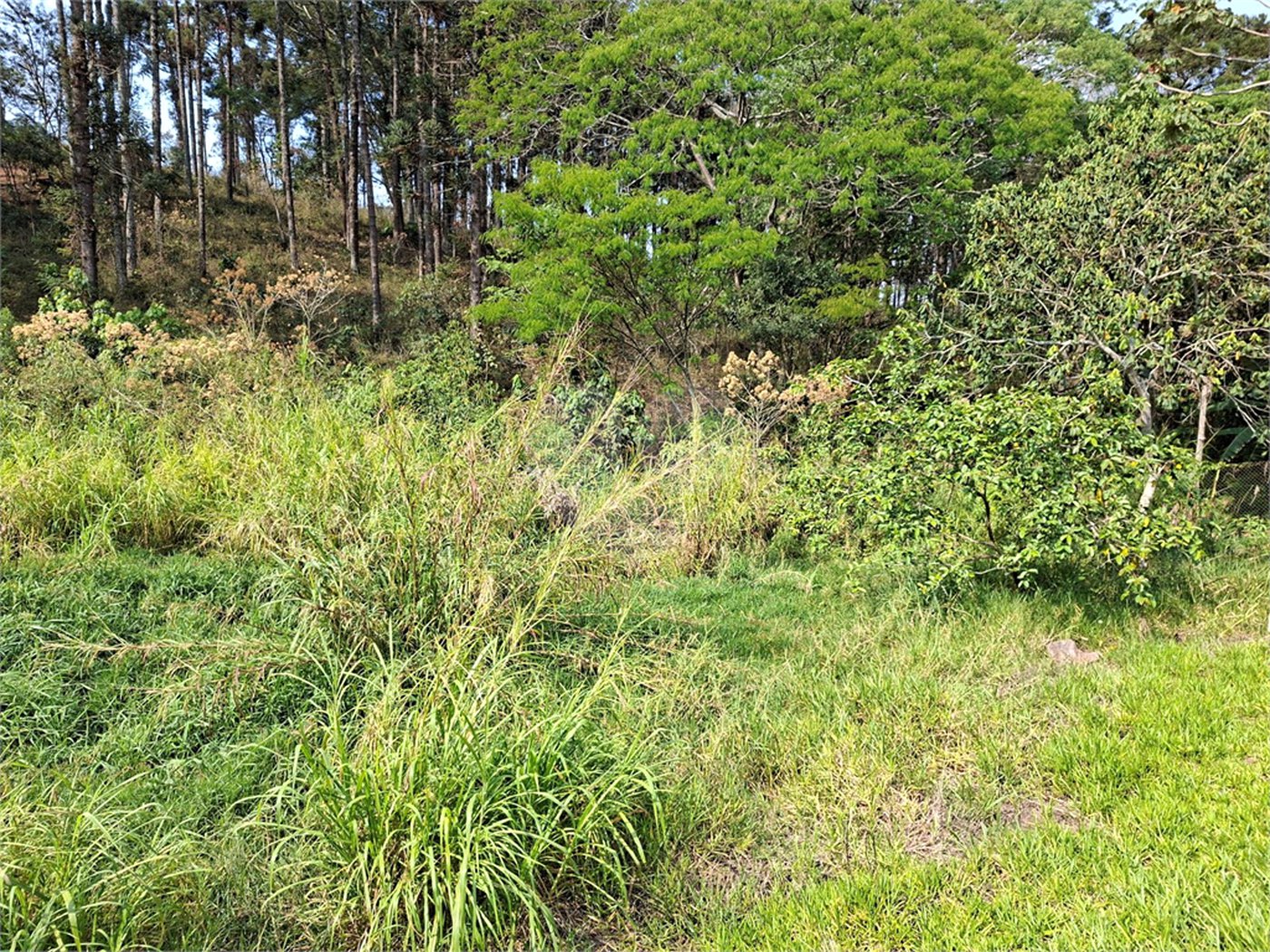 Terreno à venda em Chácara Fernão Dias, Bragança Paulista, SP