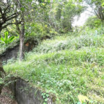 Terreno Residencial à venda, Morro de Nova Cintra, Santos - TE0034.