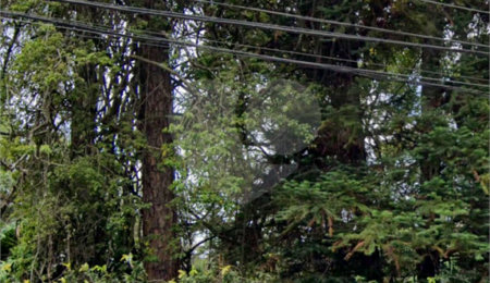 Terreno à venda em Barro Branco (zona Norte), São Paulo, SP
