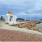 Apartamento Residencial à venda, Centro, São Vicente - AP1340.