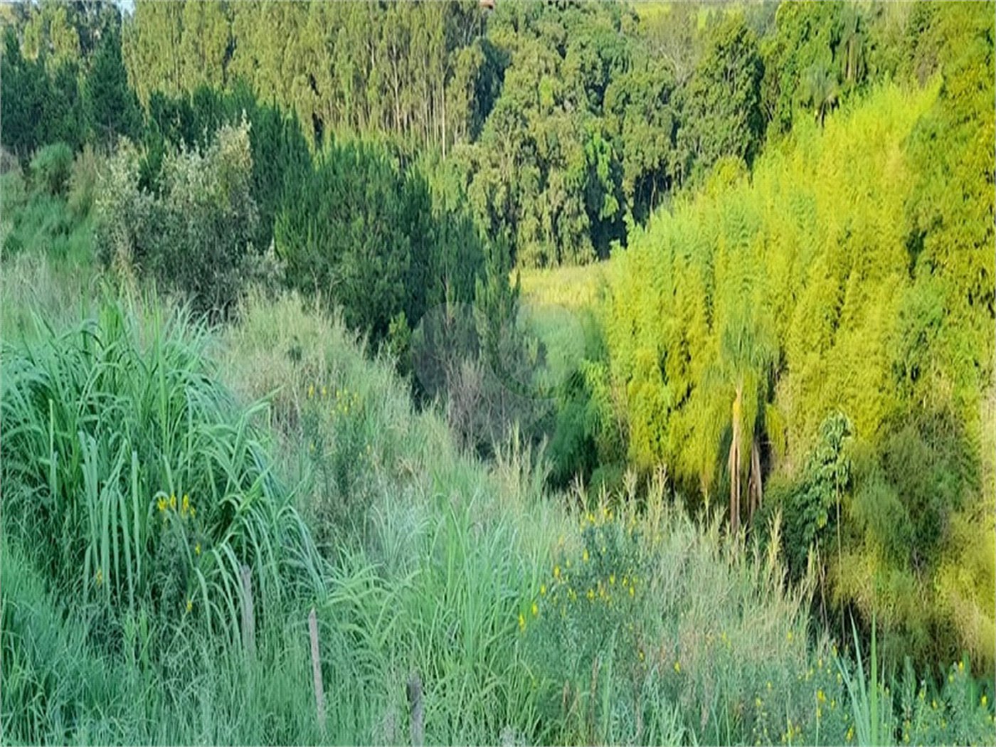 Área de Terra à venda em Três Pistas, Atibaia, SP