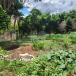 Terreno à venda em Jardim do Carmo, Araraquara, SP