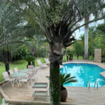 Chácara no Condomínio Vale das Laranjeiras em Indaiatuba SP - Venda - R$ 3,600.000,00 - Locaçao - R$ 30.000,00 mais encargos - Linda, espaçosa, aconchegante, acabamento de alto padrão em rua tranquila e arborizada, em um dos Condomínios mais valorizados de Indaiatuba. Com fácil acesso as principa