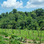 Terreno em condomínio à venda em Jundiaquara, Araçoiaba da Serra, SP
