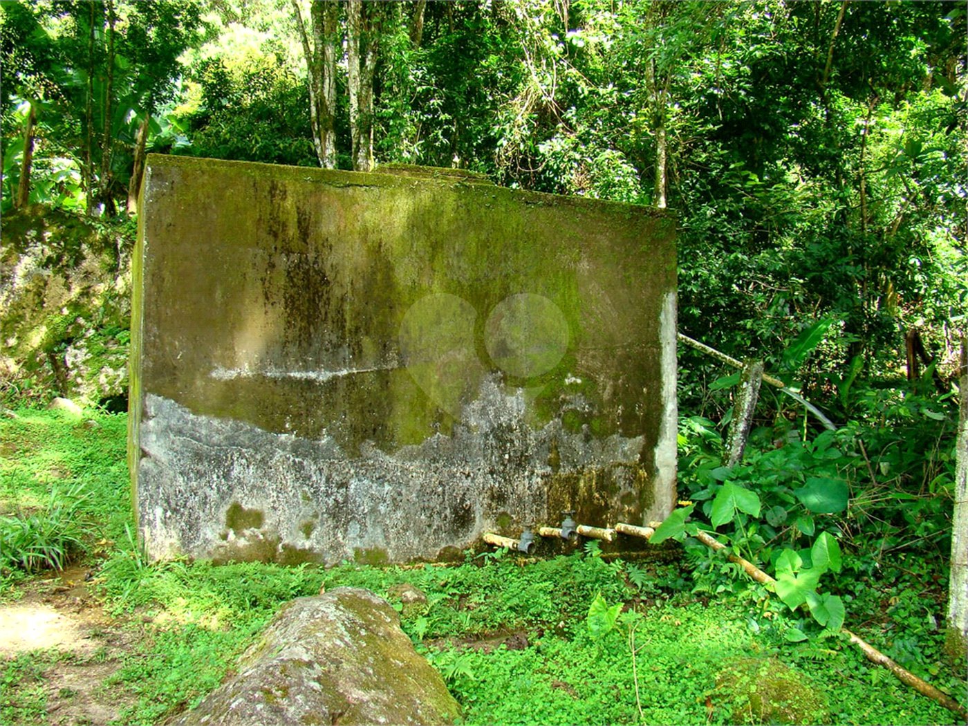 Fazenda à venda com 7 quartos, sendo 3 suítes, em Professor Souza, Casimiro de Abreu, RJ