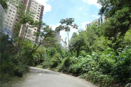 Terreno à venda em Vila Suzana, São Paulo, SP