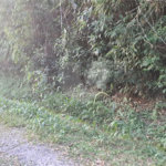 Terreno à venda no condomínio Associação Reserva das Hortênsias, Mairiporã - SP