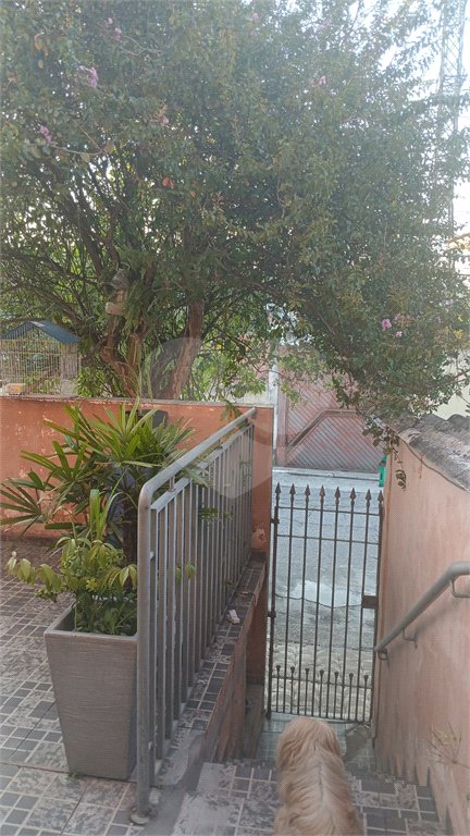 Casa à venda com 3 quartos em Vila Maria, São Paulo, SP