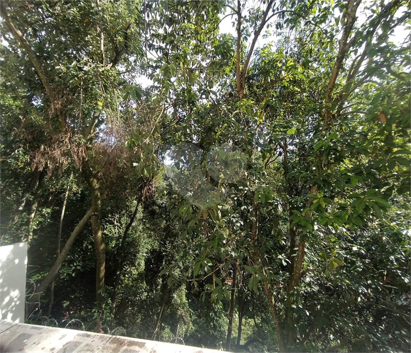 Casa de Vila para alugar com 3 quartos, sendo 1 suíte, em Serra da Cantareira, São Paulo, SP