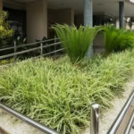 Apartamento com 1 dormitório à venda, 40 m² por R$ 660.000,00 - Campo Grande - Santos/SP
