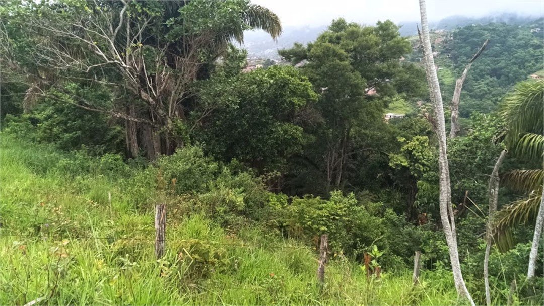Terreno Residencial à venda, Perequê, Ilhabela - TE0008.