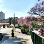 Apartamento à venda com 2 quartos em Jardim Santa Mônica, São Paulo, SP