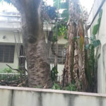 Sobrado à venda com 3 quartos, sendo 1 suíte, em Santa Terezinha, São Paulo, SP