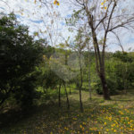 Terreno à venda no condomínio Fazenda Alta Vista, Salto de Pirapora - SP