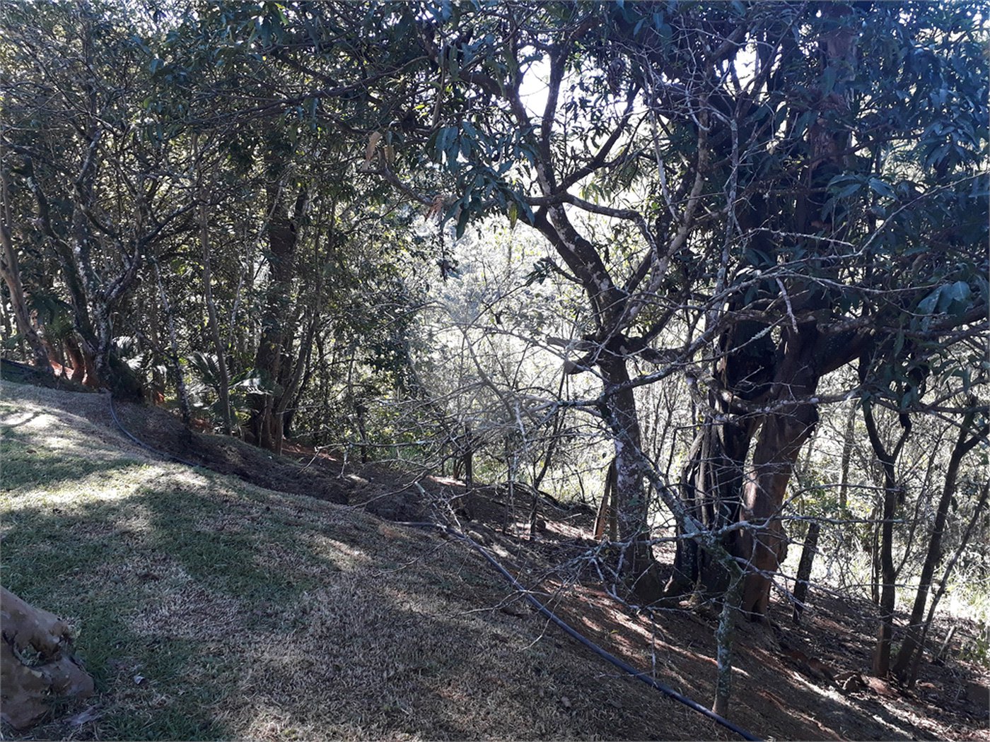 Sítio à venda com 9 quartos, sendo 7 suítes, no Centro, Monteiro Lobato, SP