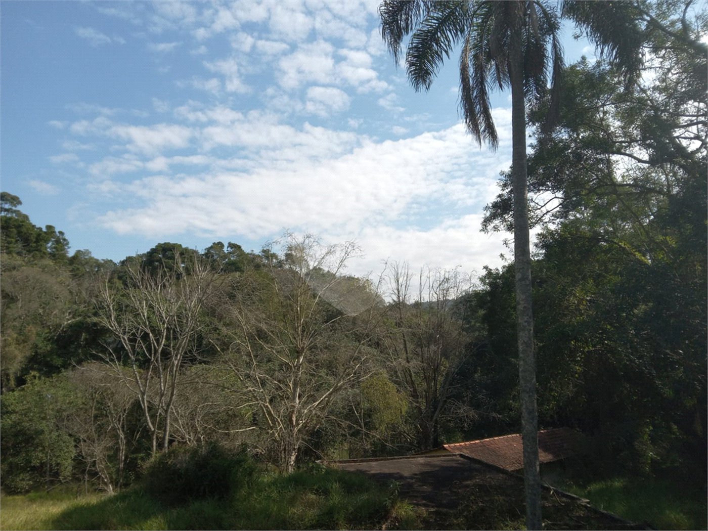 Sítio à venda em Chácara São João, Campo Limpo Paulista, SP