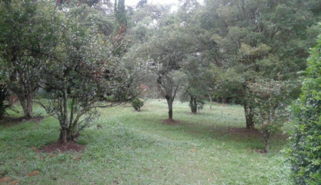 Terreno à venda com 1 quarto, sendo 2 suítes,  em Horto Florestal, São Paulo, SP