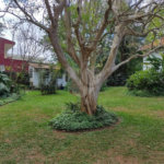 Casa Térrea à venda com 5 quartos em Brooklin, São Paulo, SP