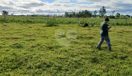 Terreno à venda em Área Rural de Guareí, Guareí, SP