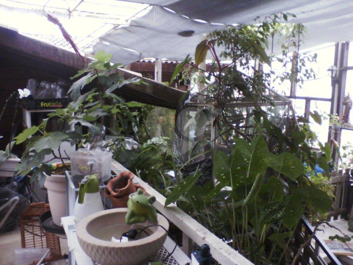 Prédio à venda em Água Fria, São Paulo, SP