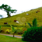 Fazenda à venda em Eugênio de Mello, São José dos Campos, SP