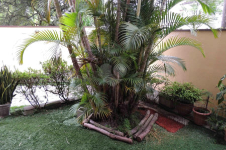 Sobrado à venda com 3 suítes em Jardim Marajoara, São Paulo, SP