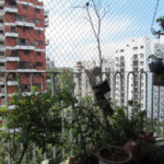 Apartamento à venda com 4 quartos, sendo 1 suíte, em Jardim Ampliação, São Paulo, SP
