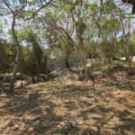 Terreno à venda em Albatroz, Armação dos Búzios, RJ