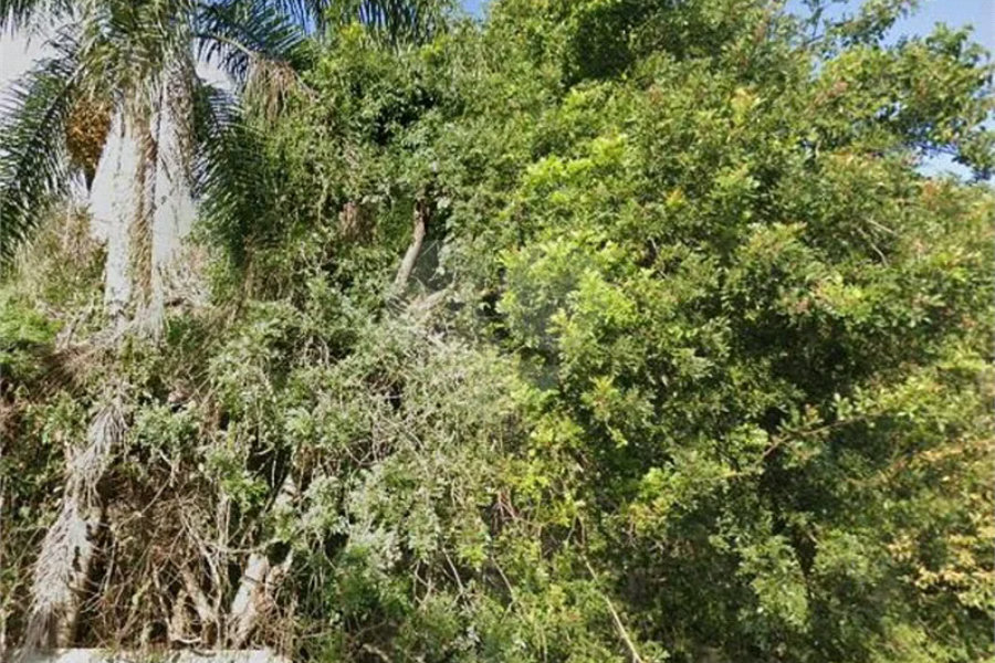 Terreno à venda em Vila Guilherme, São Paulo, SP