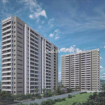 Nexo Carraro