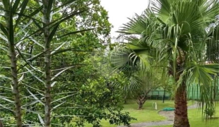 Chácara à venda com 3 quartos, sendo 2 suítes,  em Recreio Campestre Jóia, Indaiatuba, SP