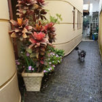 Sobrado à venda com 3 suítes em Lar São Paulo, São Paulo, SP