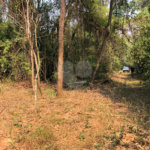 SITIO PARA VENDA COM 13.637 M² EM ARARAQUARA/SP.
