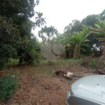 Chácara à venda com 3 quartos em Vila Belo Horizonte, Itapetininga, SP