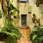 Sobrado à venda com 3 quartos, sendo 1 suíte,  em Tucuruvi, São Paulo, SP