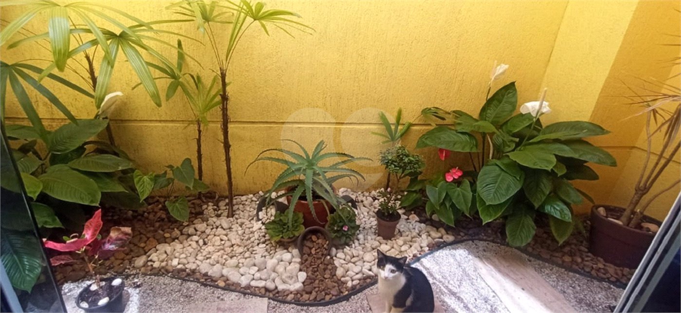 Sobrado à venda com 3 suítes em Vila Mazzei, São Paulo, SP
